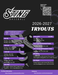 Blue Yellow Baseball Camp Sport Flyer (8)